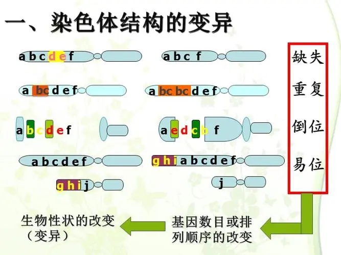 显微镜.jpg