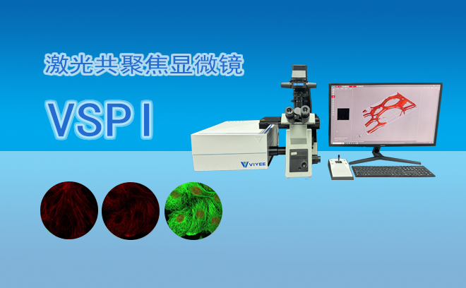 激光共聚焦显微镜VSPI.jpg